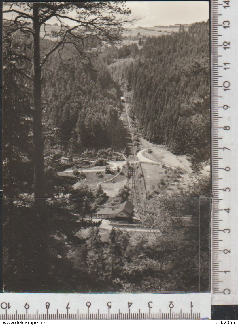 Ferienort  LICHTENHAIN An Der Oberweißbacher  Bergbahn Nicht Gelaufen  ( AK 3698 ) - Lichtenhain