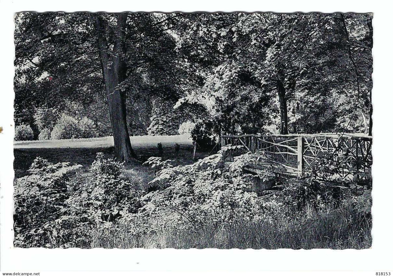 Schoten  -  Kasteel Villers - Mariaburcht  Opleidingscentrum Tot Gezinsleven  Park Rustig Hoekje 1960 - Schoten