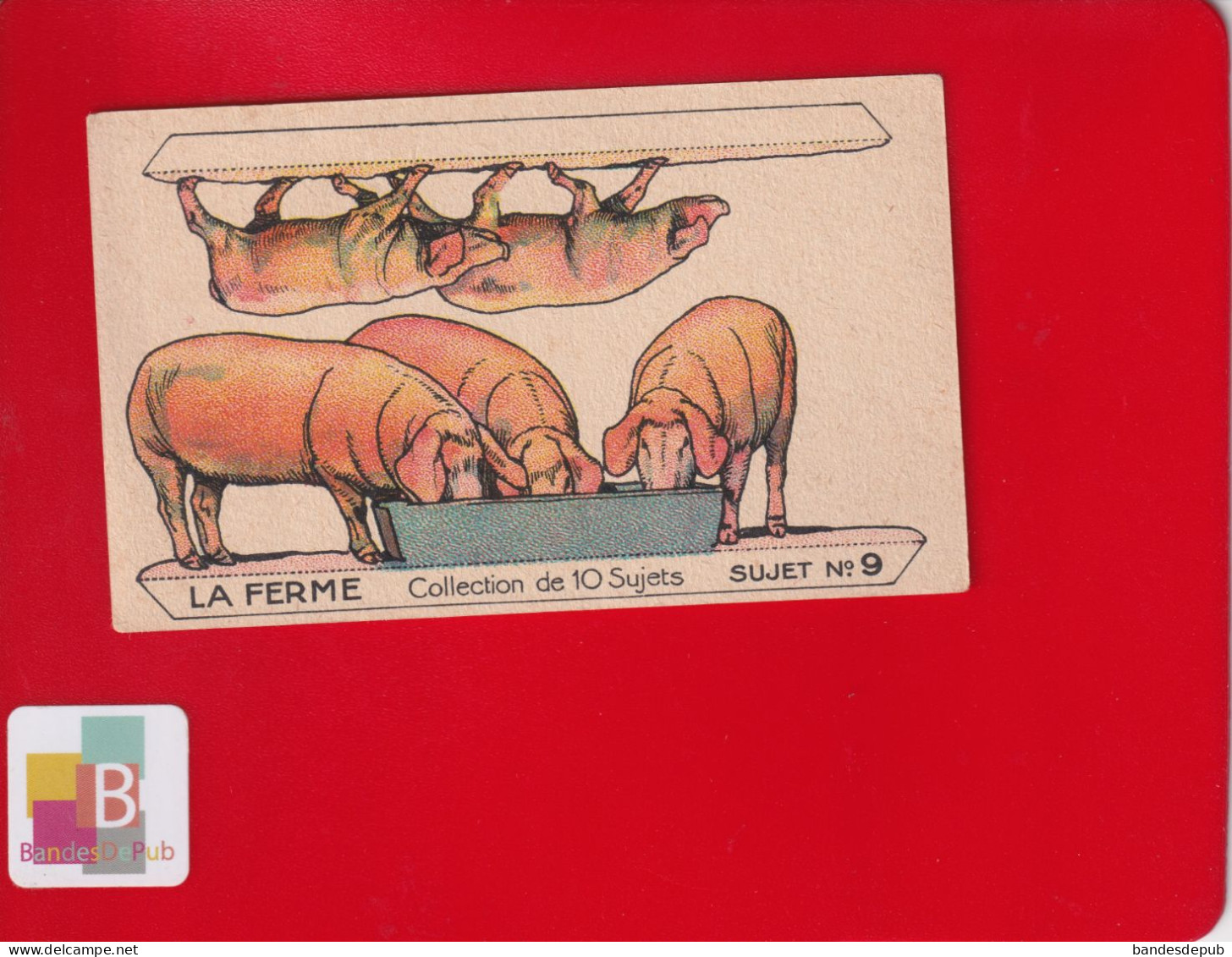 DECOUPAGE Jolie Chromo Image à Découper Chocolat Révillon Série La Ferme Cochon Porc Agriculture - Farm Fawl Goose N 9 - Revillon