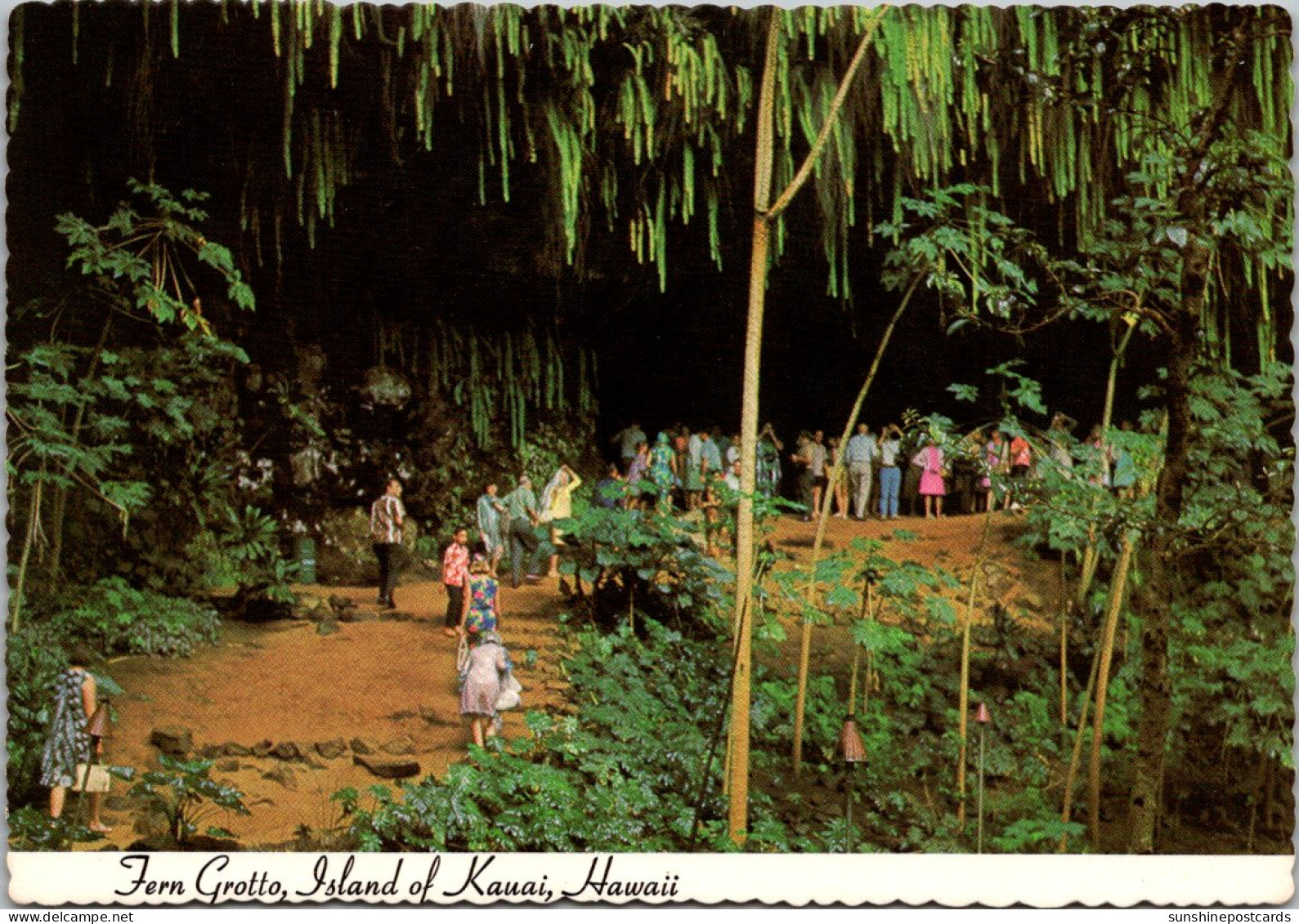 Hawaii Kauai Beautiful Fern Grotto - Kauai