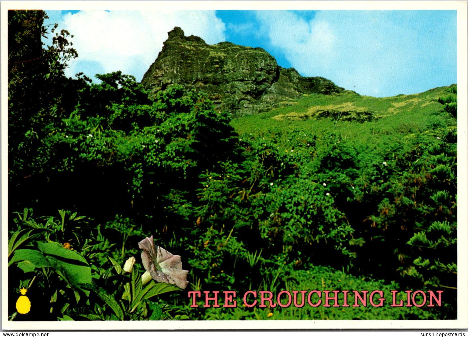 Hawaii Oahu The Crouching Lion Volcanic Rock Formation - Oahu