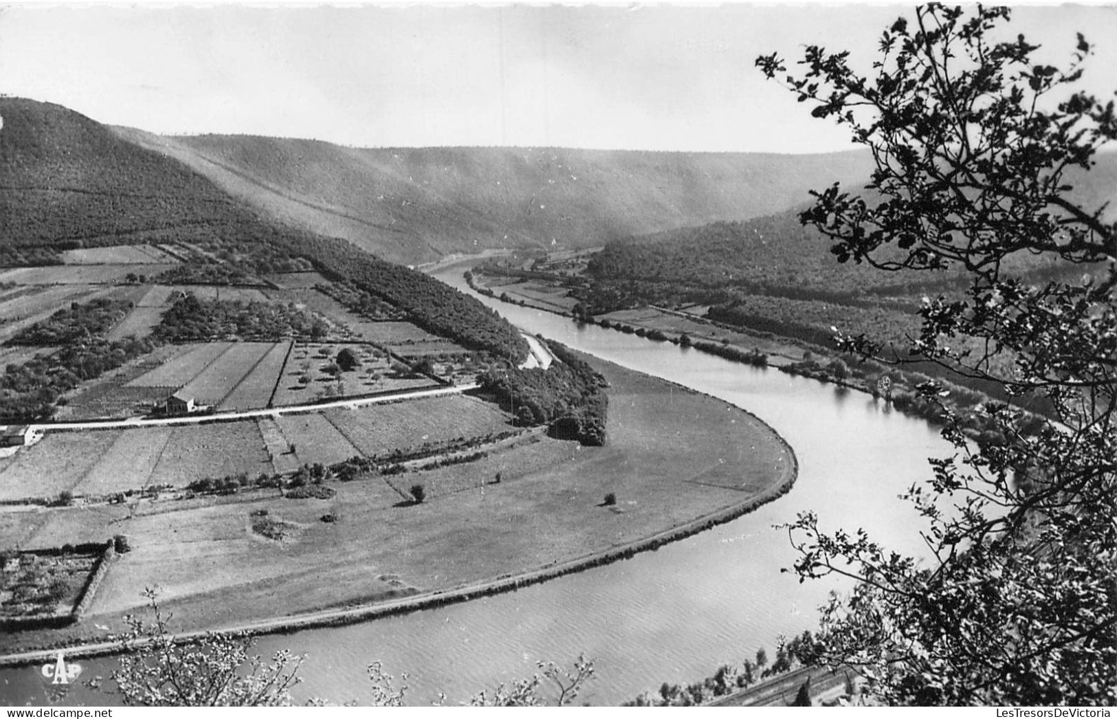 FRANCE - 08 - Revin - Vallée De La Meuse à Revin - Carte Postale Ancienne - Revin