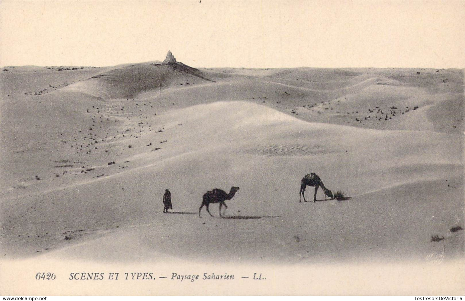 ALGERIE - Scènes Et Types - Paysage Saharien - Carte Postale Ancienne - Escenas & Tipos