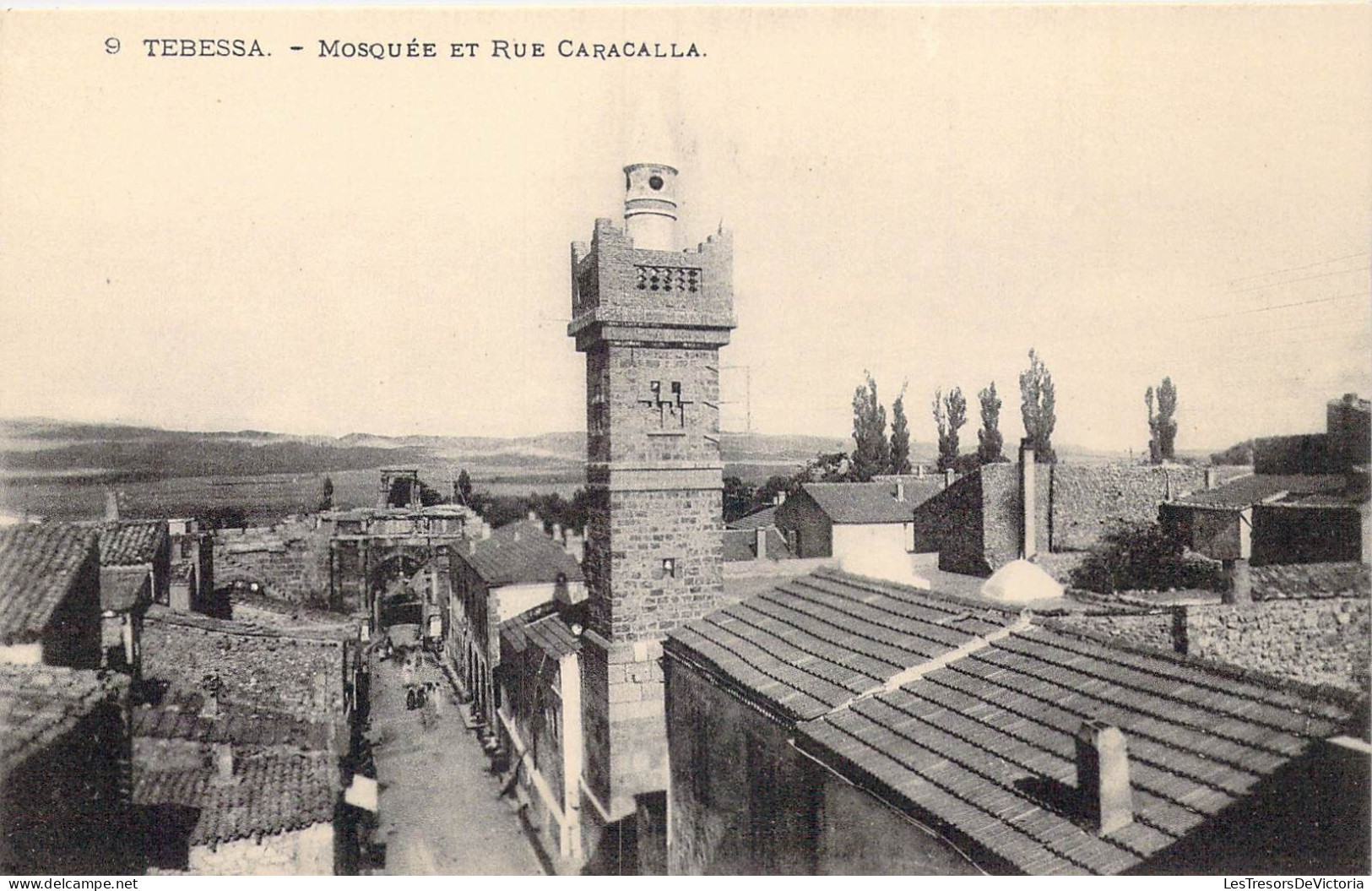 ALGERIE - Tébessa - Mosquée Et Rue Caracalla - Carte Postale Ancienne - Tébessa