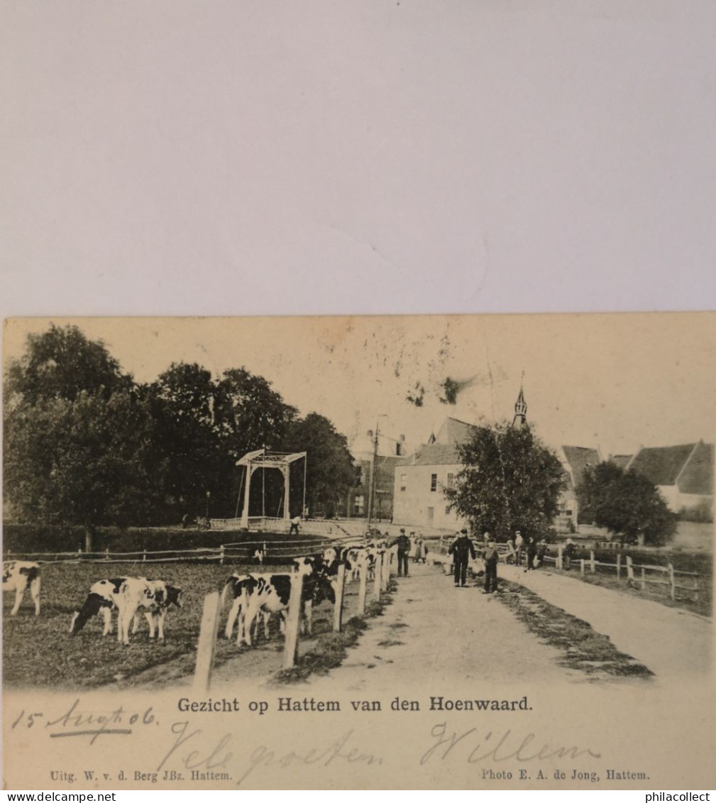 Hattem // Gezicht Op - Van Den Hoenwaard (Koeien) 1906 Vouw En Vlek - Hattem