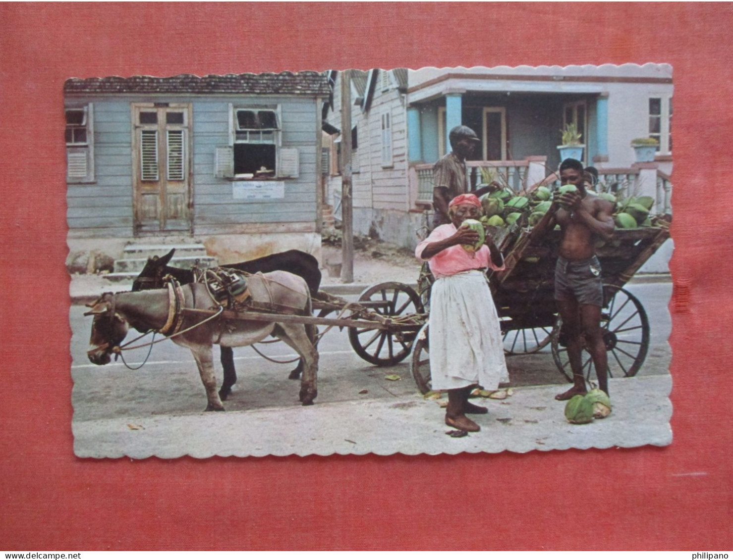 Coconut Vendor.  Barbados  Ref 6172 - Barbades