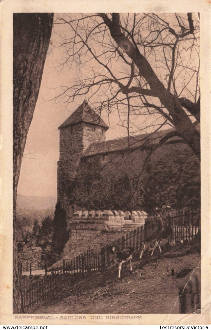 SUISSE - Rapperswil - Schloss Und Hirschpark - Carte Postale Ancienne - Rapperswil-Jona