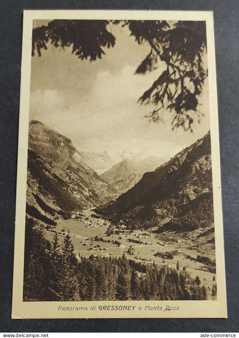 Cartolina Gressoney - Panorama E Monte Rosa                                                                              - Aosta