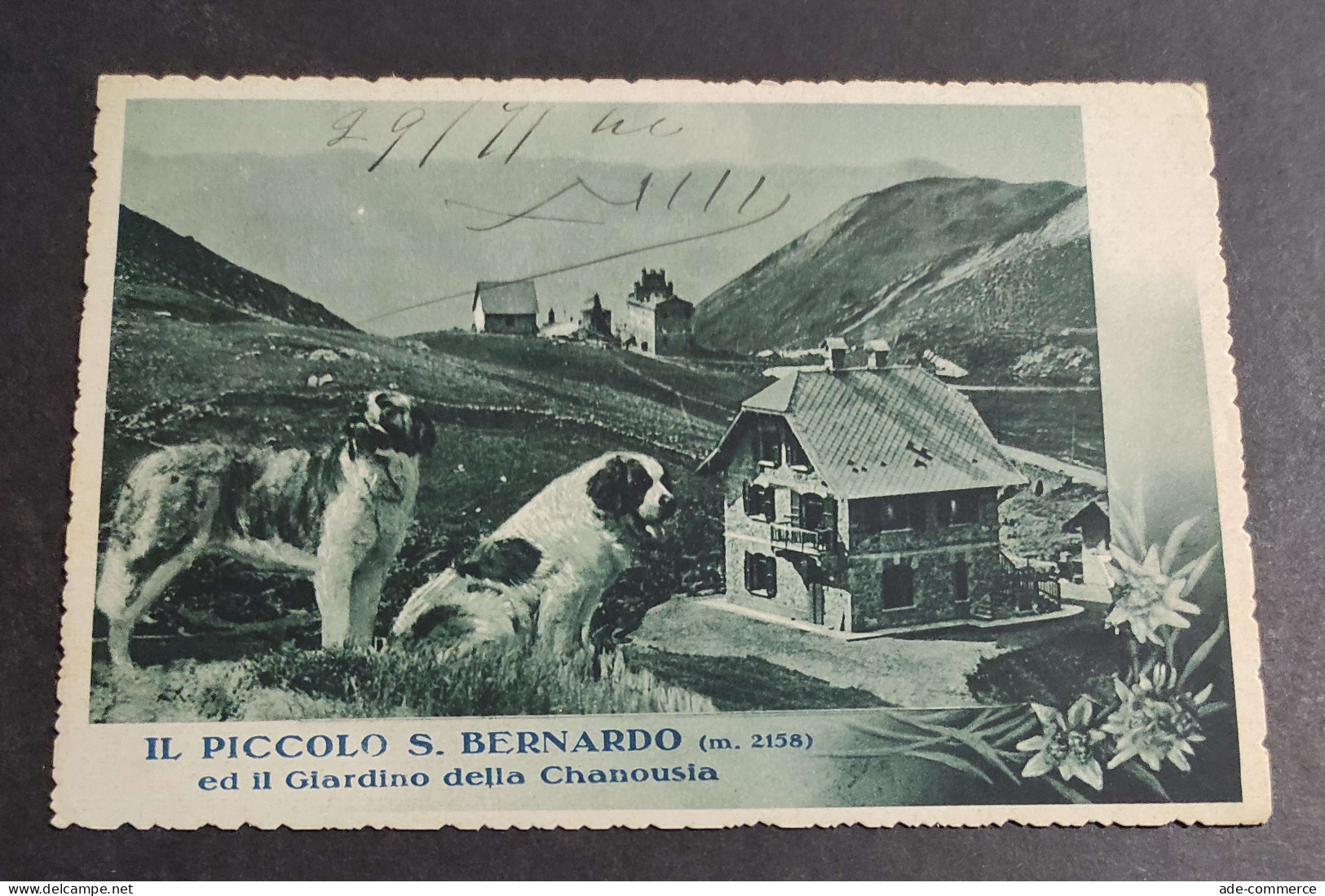 Cartolina Il Piccolo S. Bernardo - Il Giardino Della Chanousia                                                           - Aosta