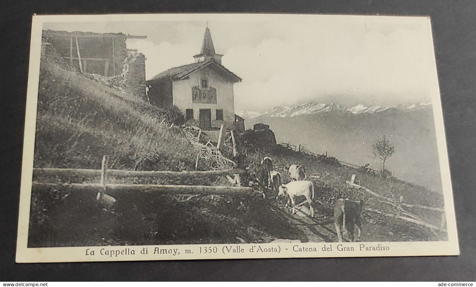 Cartolina La Cappella Di Amoy (Valle D'Aosta) - Catena Del Gran Paradiso                                                 - Aosta