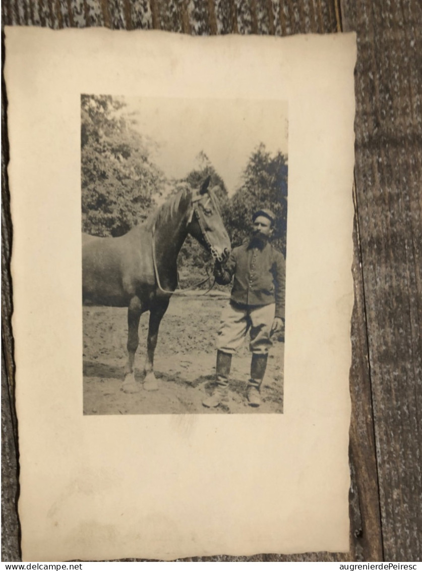 Photo Poilu Avec Son Cheval 14-18 - 1914-18