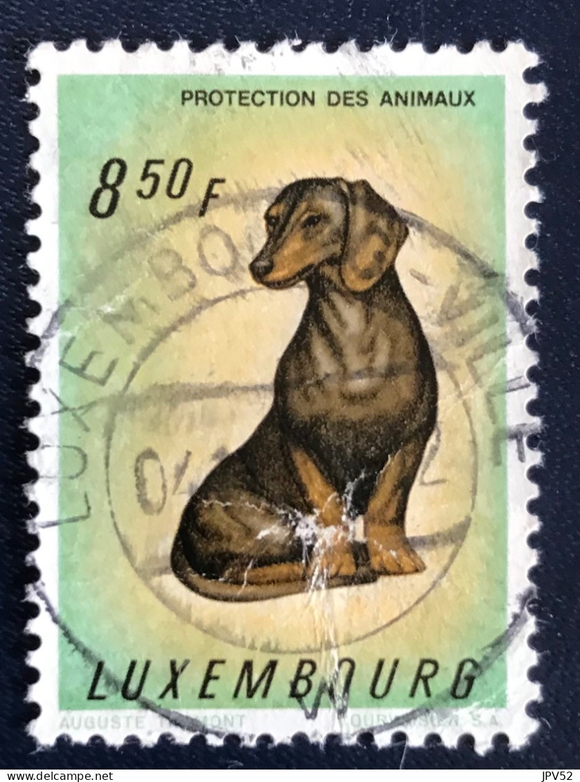 Luxembourg - Luxemburg - C18/34 - 1961 - (°)used - Michel 640 - Dashond - LUXEMBOURG-VILLE - Oblitérés