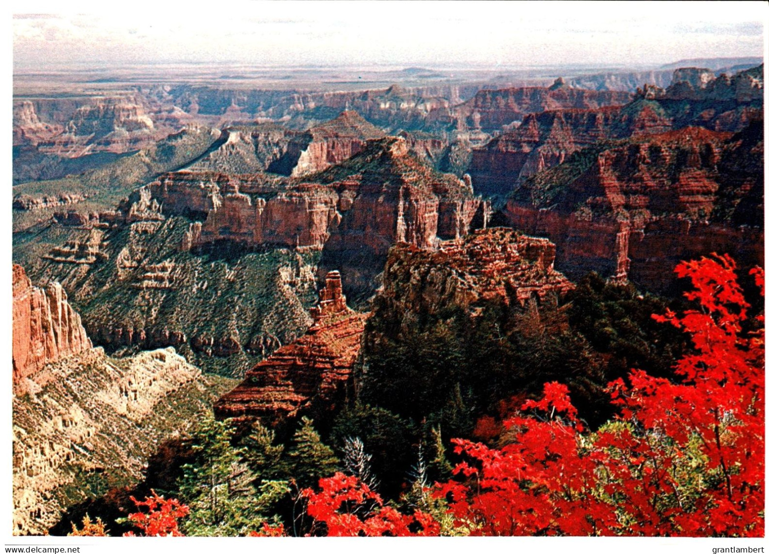 Autumn On The North Rim, Grand Canyon National Park, Arizona - Unused - Grand Canyon