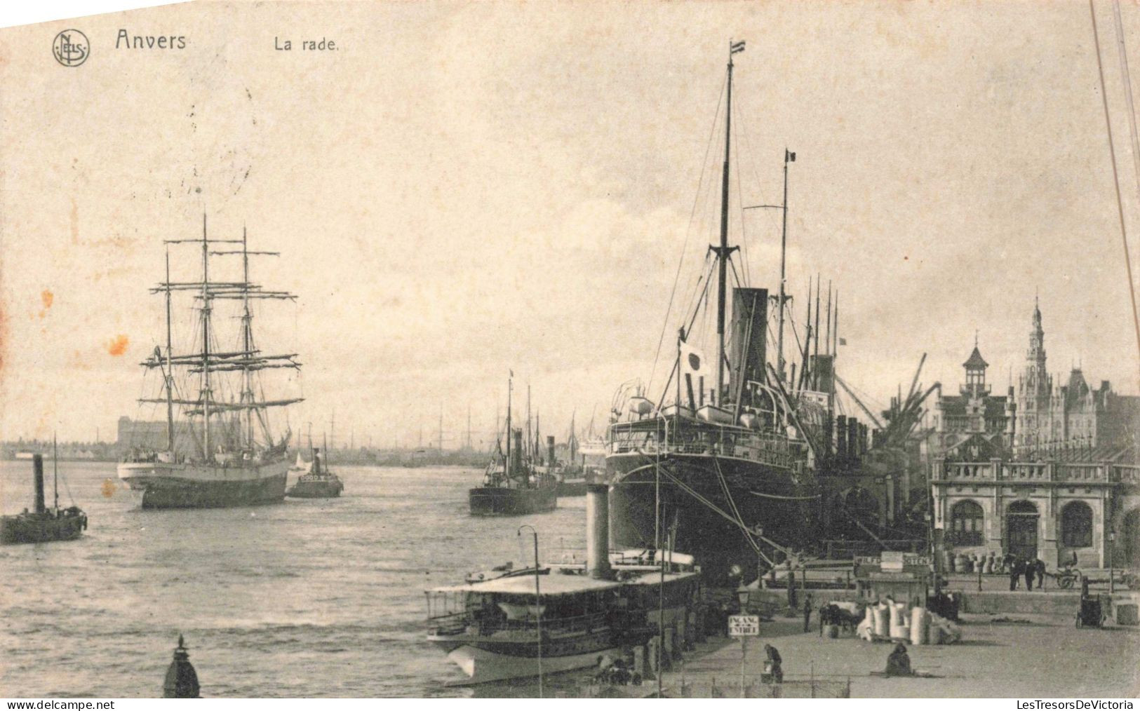 BELGIQUE - Anvers - La Rade - Panorama Du Port - Animé - Carte Postale Ancienne - Sonstige & Ohne Zuordnung