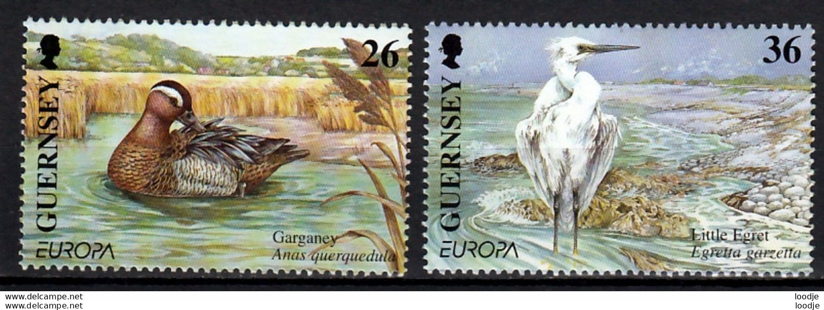 Guernsey Europa Cept 2001 Postfris - 2001