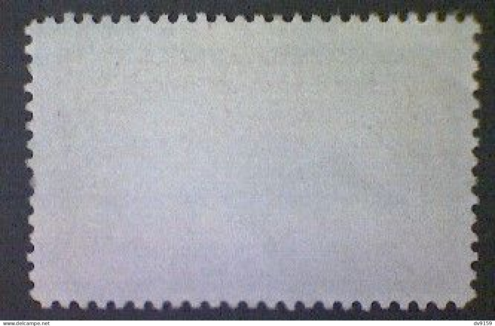 United States, Scott #913, Used(o), 1943, Netherlands,  5¢, Dark Blue Frames - Gebraucht