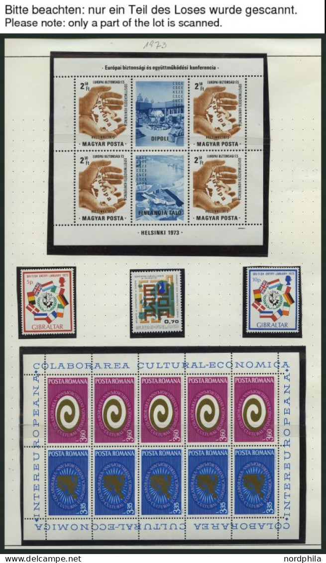EUROPA UNION , Sammlungsteil Sympathie- Und Mitläuferausgaben Von 1966-75, Mit Kleinbogen Und Blocks, Pracht, Mi. 330.- - Collections
