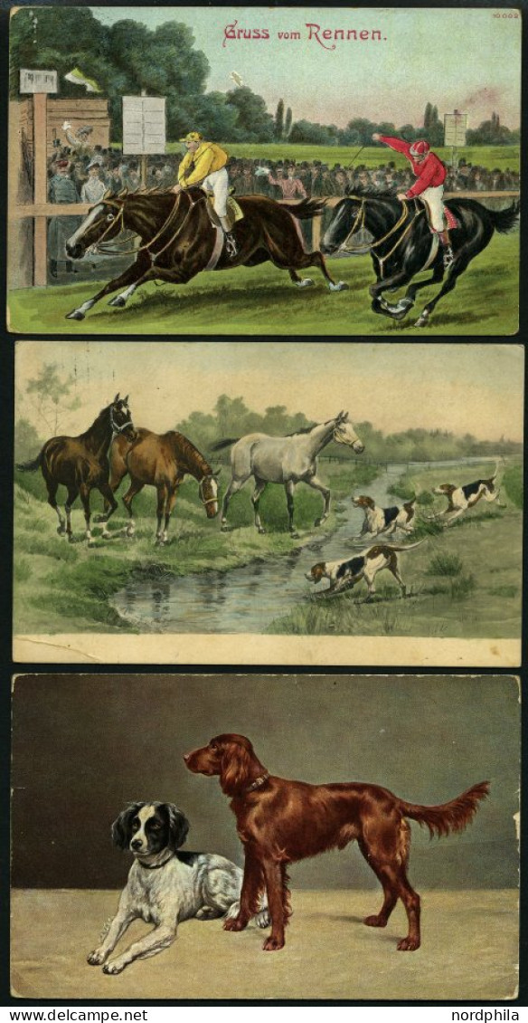 ALTE POSTKARTEN - VARIA Tiere, 3 Verschiedene Ansichtskarten (2x Pferd Und 1x Hund) - Andere & Zonder Classificatie