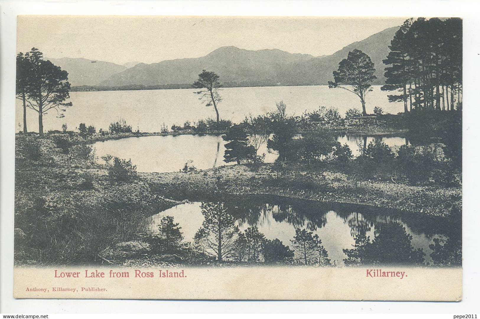 CPA  Ireland Conté De Cork - KILLARNEY - Lover Lake From Ross Island - Uncommon View - Cork