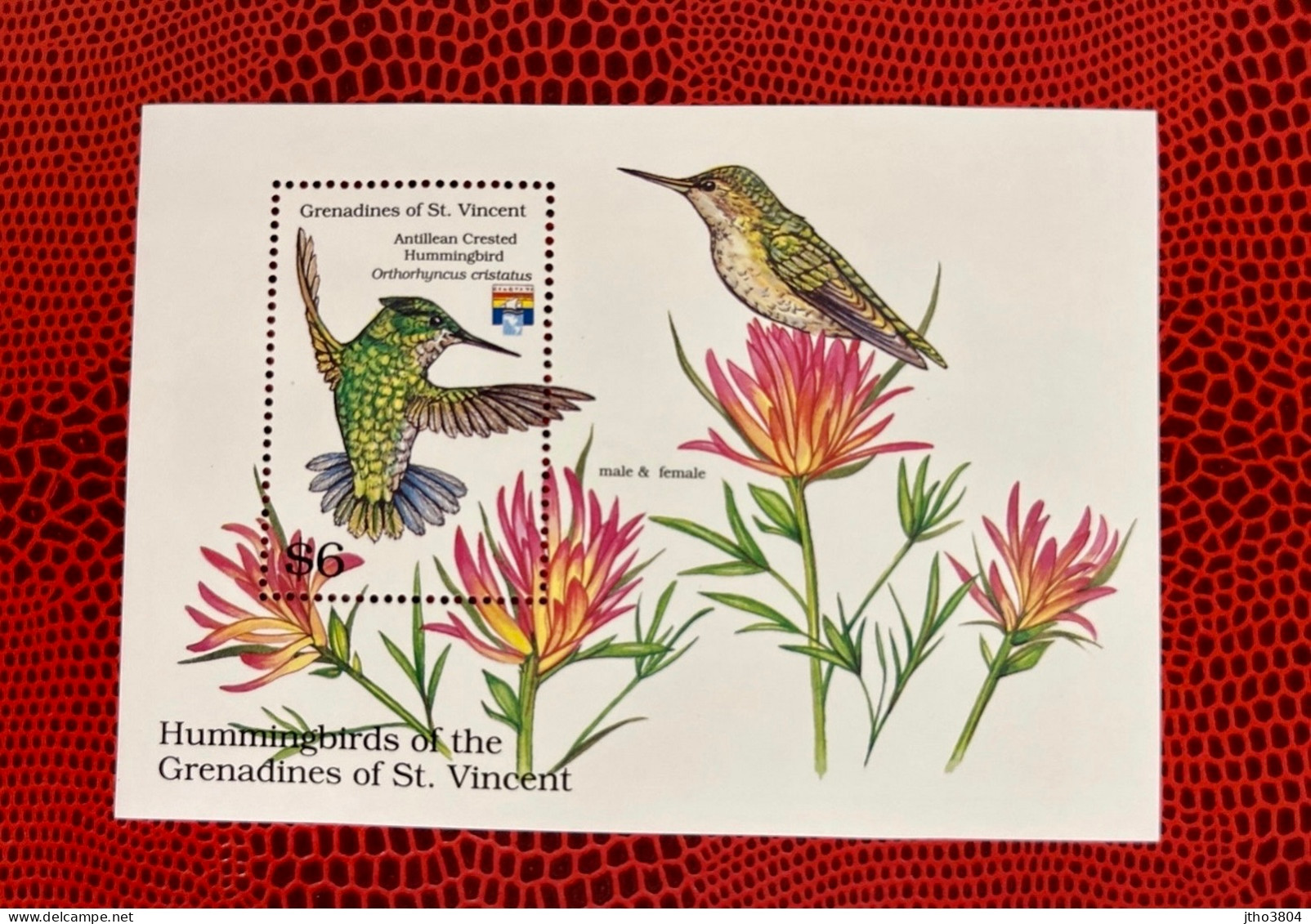 St VINCENT 1992 Bloc 1v Neuf MNH ** YT Mi Sc 911 Pájaro Bird Pássaro Vogel Ucello Oiseau - Hummingbirds