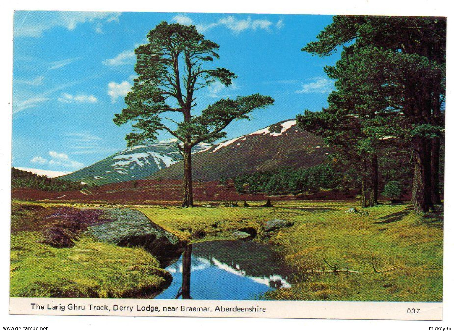 U-K--Aberdeenshire--1990--The Larig Ghru Track,Derry Lodge,near Braemar....beau Timbre,...cachet - Aberdeenshire