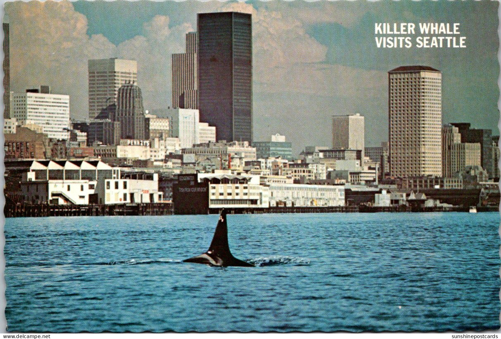 Washington Seattle Elliott Bay With Killer Whale - Seattle