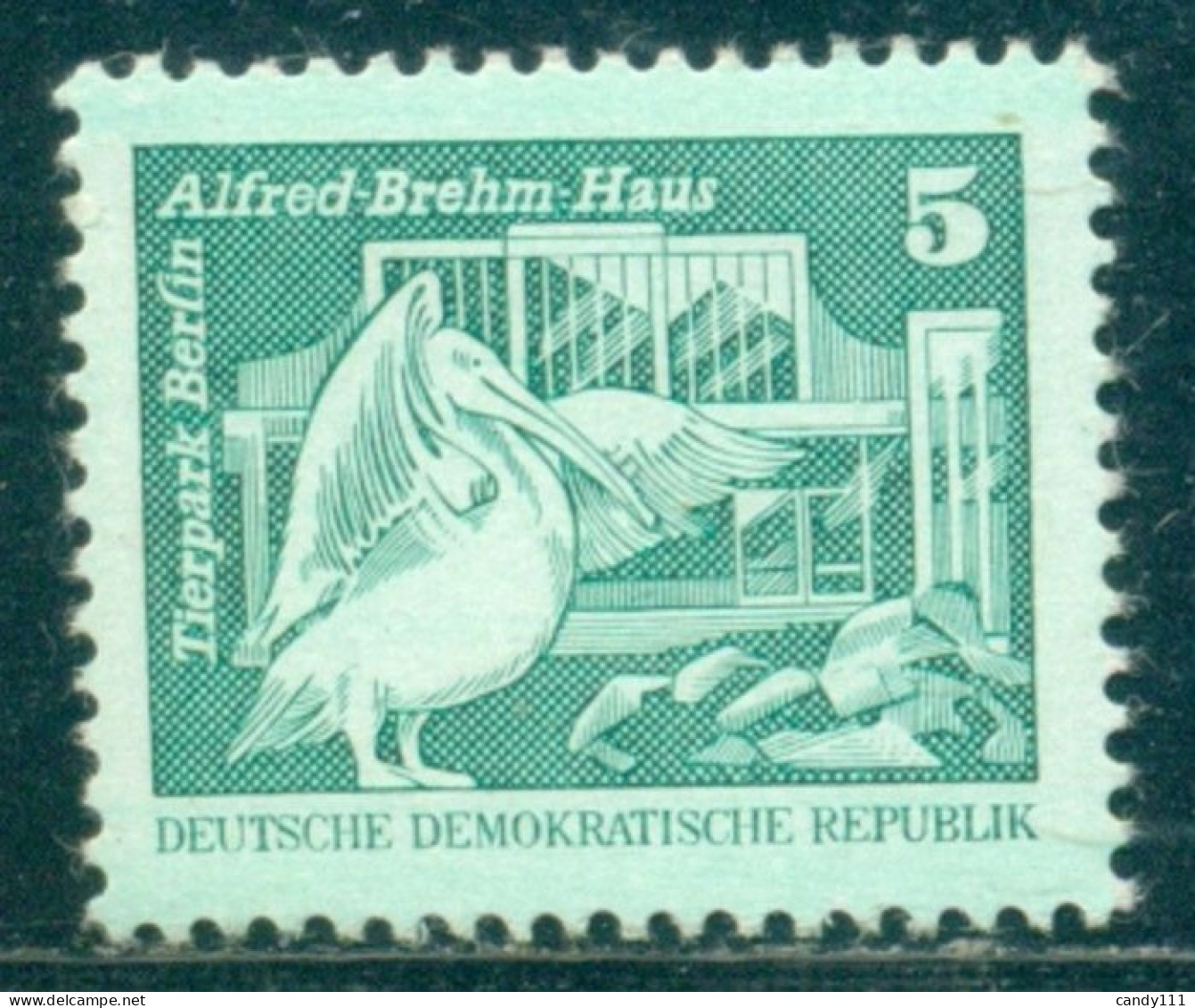 1980 Pelican,Pelikan,ZOO-Tierpark Berlin,DDR,2483,MNH - Pelícanos