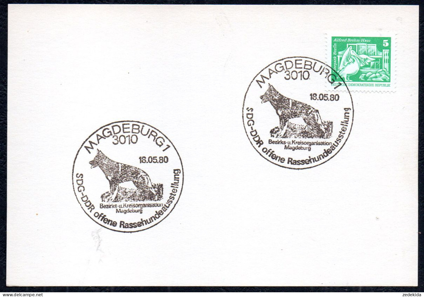 G4613 - Magdeburg - Sonderstempel - SDG Hunderasseausstellung - 1e Jour – FDC (feuillets)