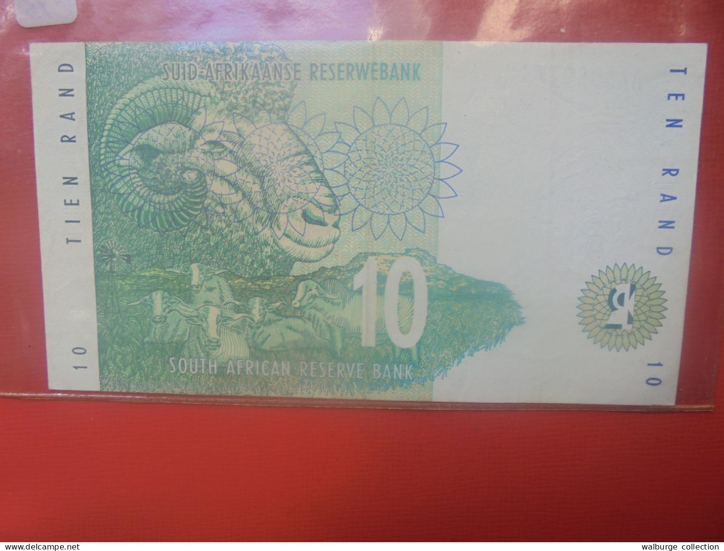 AFRIQUE Du SUD 10 RAND 1993-99 Circuler (B.30) - Südafrika