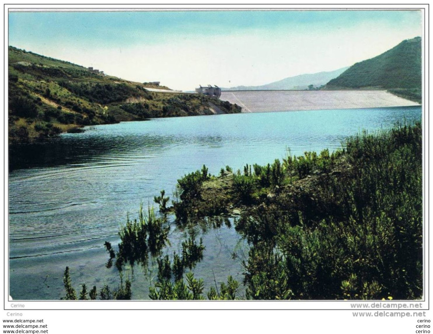 FOGGIA  DINTORNI :  LAGO  DI  OCCHITO  E  DIGA  SUL  FORTORE  -  FOTO  -  FG - Torres De Agua