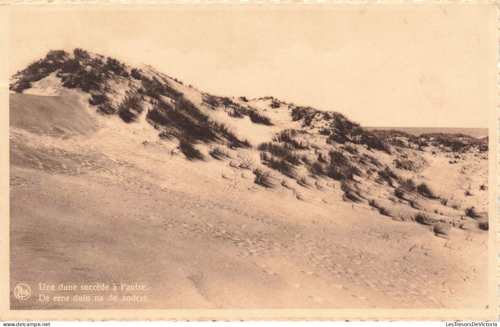 BELGIQUE - Middelkerke - Une Dune Succède à L'autre - Carte Postale Ancienne - Middelkerke