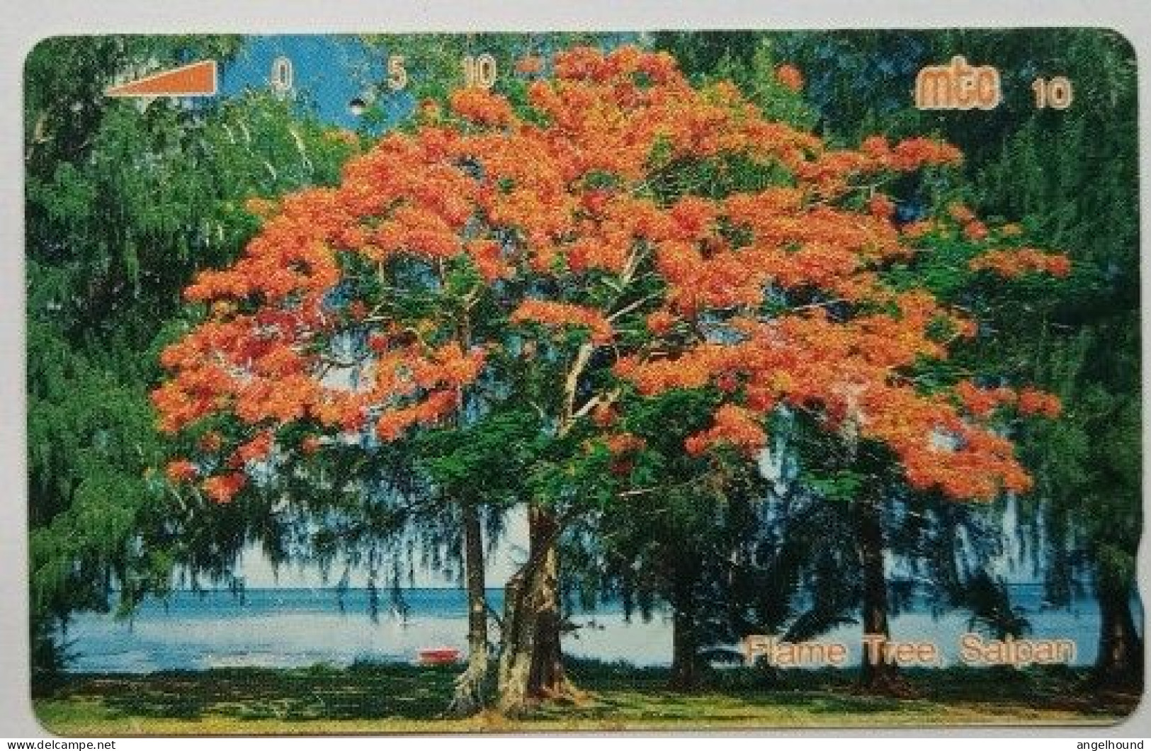 Northerm Marianas MT Card 10 - Flame Tree - Northern Mariana Islands
