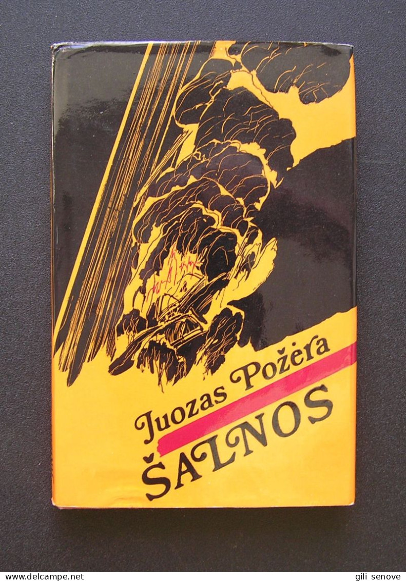 Lithuanian Book / Šalnos 1980 - Cultura