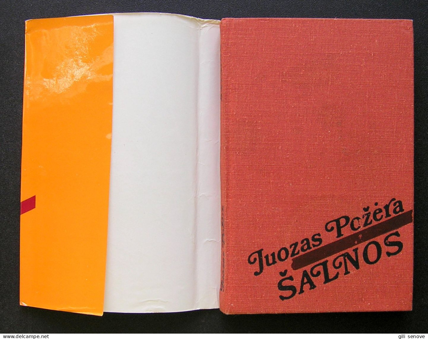 Lithuanian Book / Šalnos 1980 - Cultura