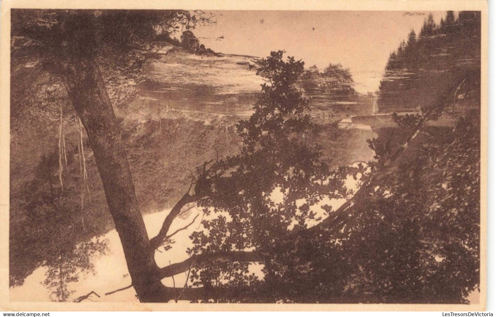 BELGIQUE - Herbeumont S/Semois - La Seumois Au Barrage De Congues - Carte Postale Ancienne - Neufchateau