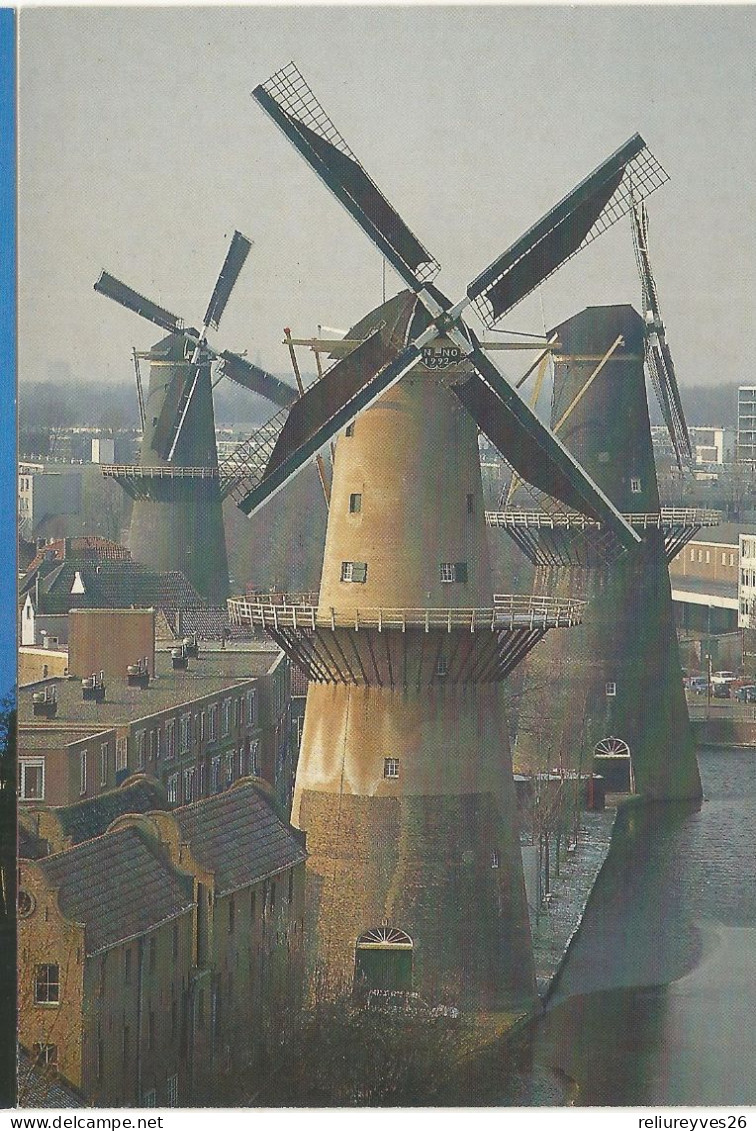 CPM, Pays-Bas , Schiedam , De Nieuwe Palmboom ( 1781 - 1992 ), Ed. 1993 - Schiedam