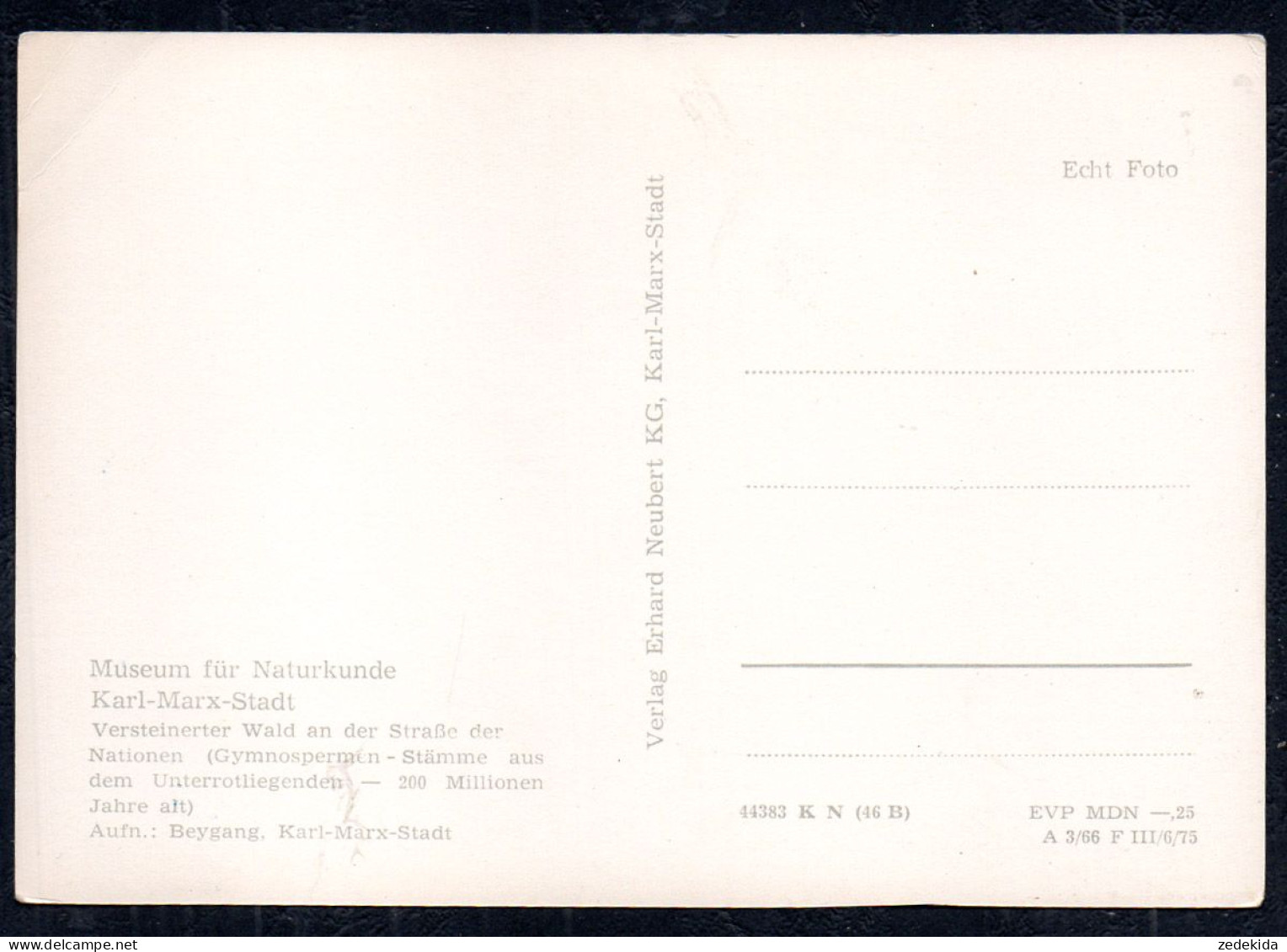 G4646 - Karl Marx Stadt - Versteinerter Wald - Erhard Neubert - Chemnitz (Karl-Marx-Stadt 1953-1990)