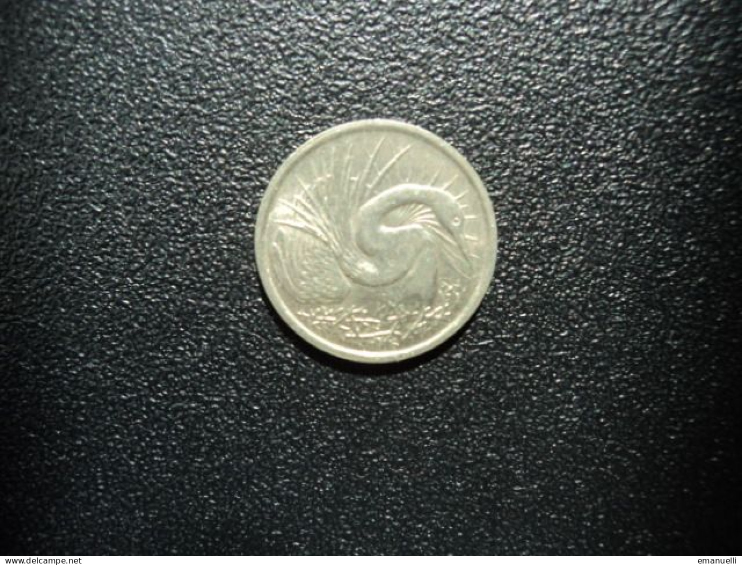 SINGAPOUR : 5 CENTS   1981    KM 2a      SUP+ - Singapore