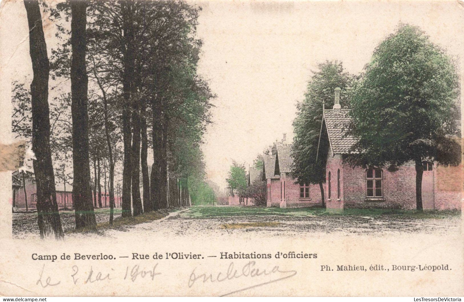 BELGIQUE - Limbourg - Camp De Beverloo - Rue De L'Olivier - Habitations D'officiers - Colorisé - Carte Postale Ancienne - Hasselt