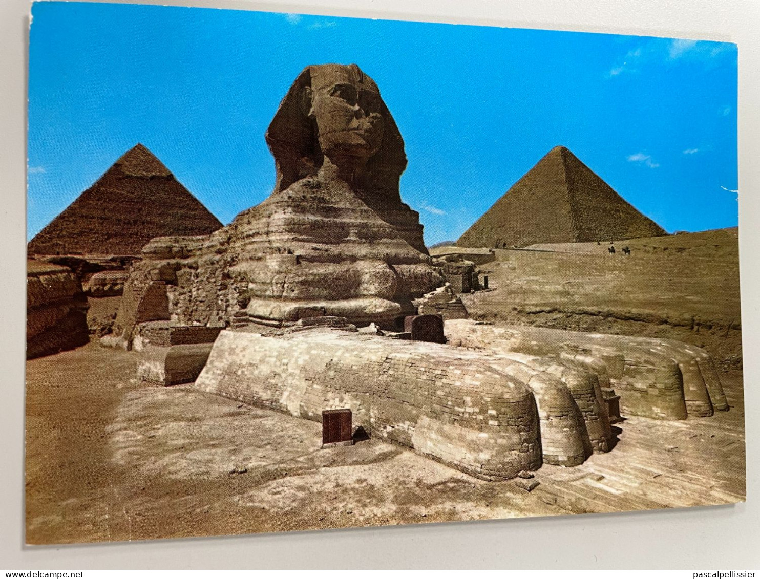 CPM - EGYPTE - GIZA - The Sphinx Of Sakkara - Sphynx