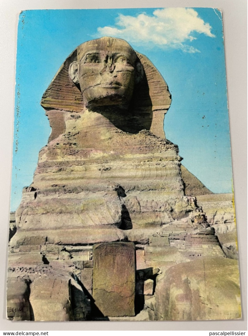 CPM - EGYPTE - GIZA - The Great Sphinx - Pyramides