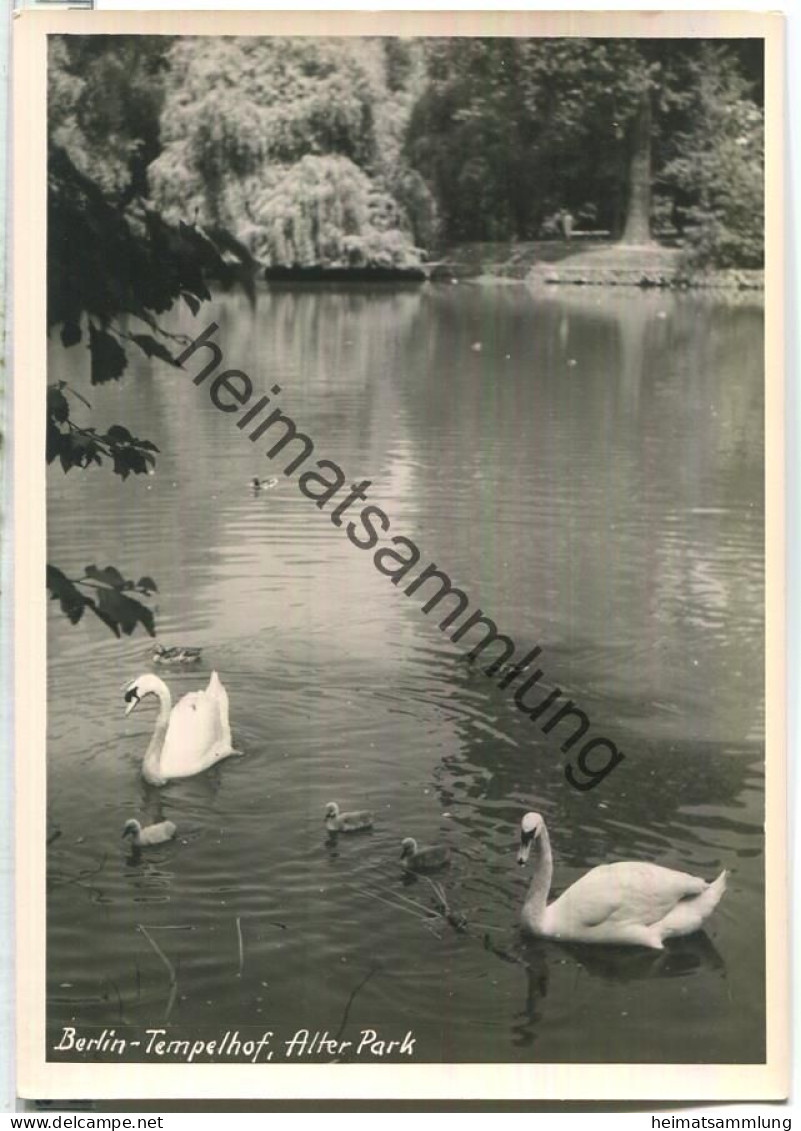 Berlin-Tempelhof - Alter Park - Foto-Ansichtskarte - Verlag Bruno Schroeter Berlin - Handabzug - Tempelhof