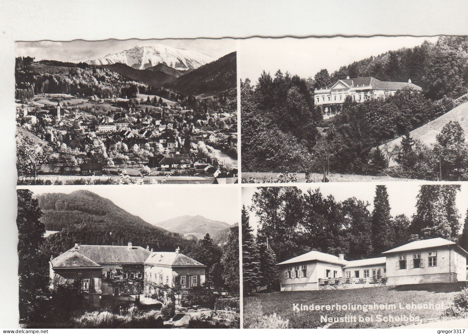 D4156) Kindererholungsheim LEHENHOF - NEUSTIFT Bei SCHEIBBS - - Scheibbs