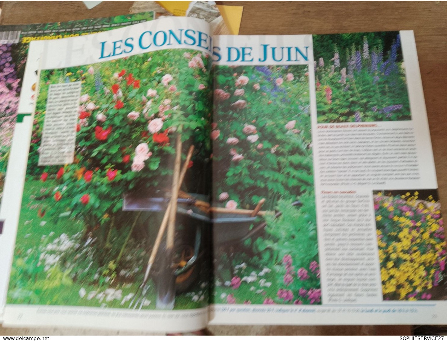 131 // MON JARDIN & MA MAISON 1998 / - Garden