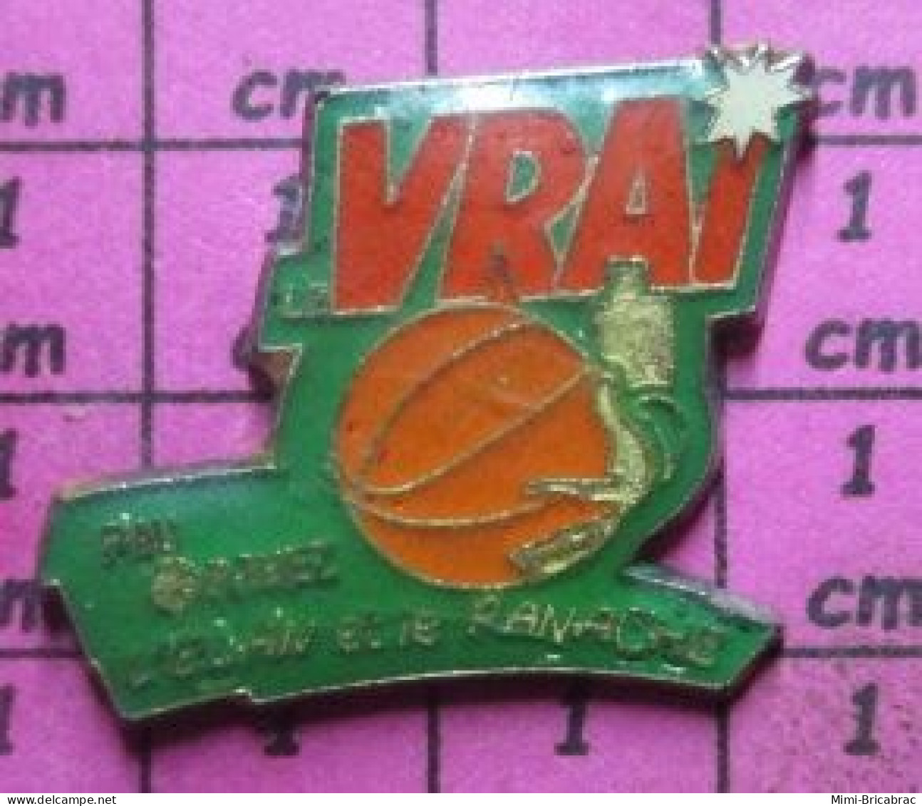 918A  Pin's Pins / Beau Et Rare / SPORTS / BASKET-BALL PAU ORTHEZ VRAI L'ELAN ET LE PANACHE - Basketball