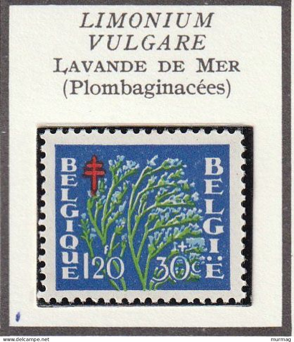 BELGIQUE - Fleurs, Flowers, Gentiane, Linaigrette, Digitale, Lavande De Mer - 1950 - MH Et Oblitéré - Autres & Non Classés