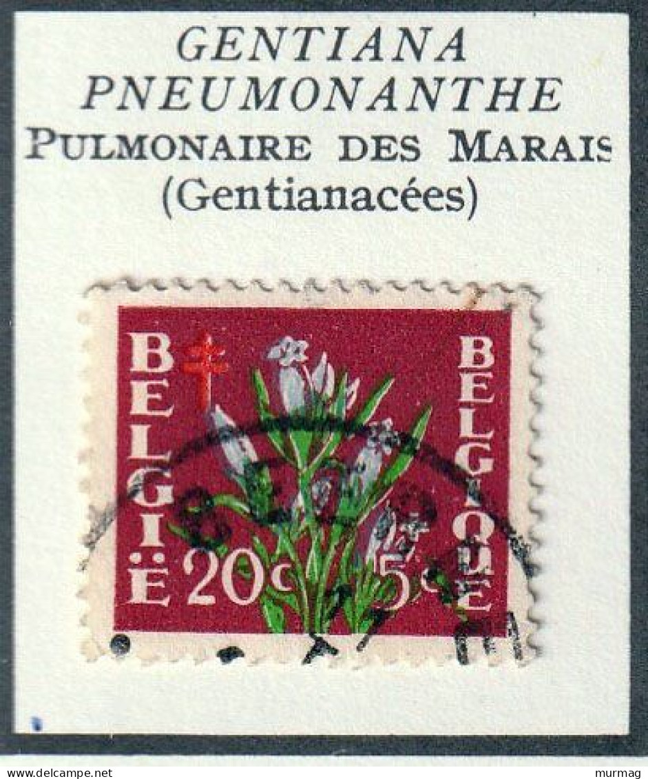 BELGIQUE - Fleurs, Flowers, Gentiane, Linaigrette, Digitale, Lavande De Mer - 1950 - MH Et Oblitéré - Autres & Non Classés