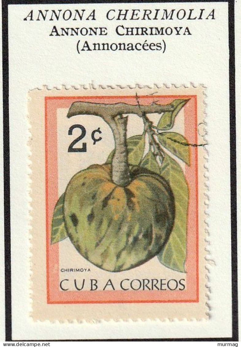 CUBA - Fruits, Caïmite, Annone, Pome De Cajou, Mangue - Y&T N° 681-685 - 1963 - Oblitérés - Used Stamps