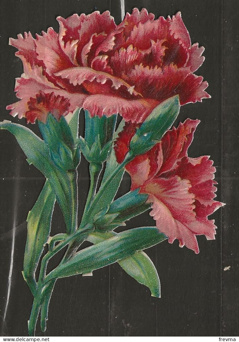 Découpis Gaufré Fleur Année 1900 - Fleurs