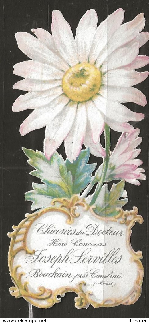 Découpis Gaufré Publicitaire Chicorée Joseph Lervilles Année 1900 - Flowers